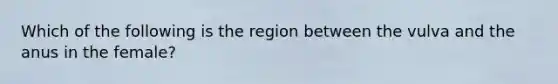 Which of the following is the region between the vulva and the anus in the female?