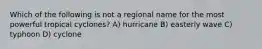 Which of the following is not a regional name for the most powerful tropical cyclones? A) hurricane B) easterly wave C) typhoon D) cyclone