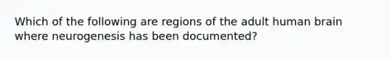 Which of the following are regions of the adult human brain where neurogenesis has been documented?