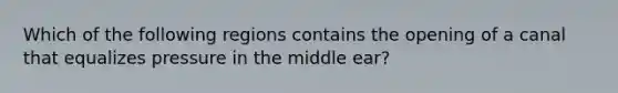 Which of the following regions contains the opening of a canal that equalizes pressure in the middle ear?