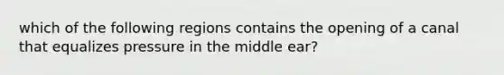 which of the following regions contains the opening of a canal that equalizes pressure in the middle ear?