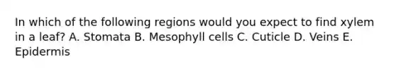 In which of the following regions would you expect to find xylem in a leaf? A. Stomata B. Mesophyll cells C. Cuticle D. Veins E. Epidermis