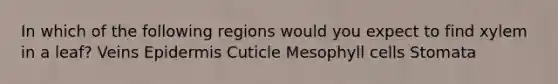 In which of the following regions would you expect to find xylem in a leaf? Veins Epidermis Cuticle Mesophyll cells Stomata