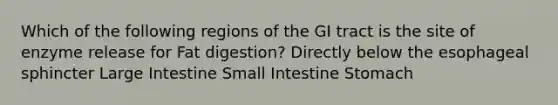 Which of the following regions of the GI tract is the site of enzyme release for Fat digestion? Directly below the esophageal sphincter Large Intestine Small Intestine Stomach