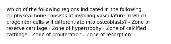 Which of the following regions indicated in the following epiphyseal bone consists of invading vasculature in which progenitor cells will differentiate into osteoblasts? - Zone of reserve cartilage - Zone of hypertrophy - Zone of calcified cartilage - Zone of proliferation - Zone of resorption