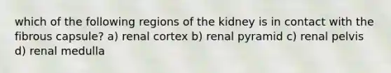 which of the following regions of the kidney is in contact with the fibrous capsule? a) renal cortex b) renal pyramid c) renal pelvis d) renal medulla