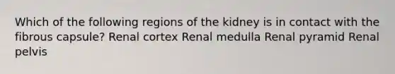 Which of the following regions of the kidney is in contact with the fibrous capsule? Renal cortex Renal medulla Renal pyramid Renal pelvis