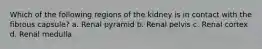 Which of the following regions of the kidney is in contact with the fibrous capsule? a. Renal pyramid b. Renal pelvis c. Renal cortex d. Renal medulla