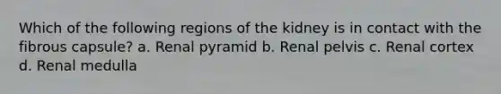 Which of the following regions of the kidney is in contact with the fibrous capsule? a. Renal pyramid b. Renal pelvis c. Renal cortex d. Renal medulla