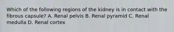 Which of the following regions of the kidney is in contact with the fibrous capsule? A. Renal pelvis B. Renal pyramid C. Renal medulla D. Renal cortex