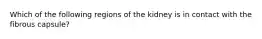 Which of the following regions of the kidney is in contact with the fibrous capsule?