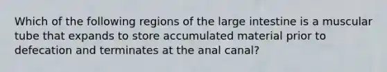 Which of the following regions of the large intestine is a muscular tube that expands to store accumulated material prior to defecation and terminates at the anal canal?