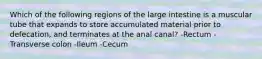 Which of the following regions of the large intestine is a muscular tube that expands to store accumulated material prior to defecation, and terminates at the anal canal? -Rectum -Transverse colon -Ileum -Cecum