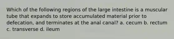 Which of the following regions of the <a href='https://www.questionai.com/knowledge/kGQjby07OK-large-intestine' class='anchor-knowledge'>large intestine</a> is a muscular tube that expands to store accumulated material prior to defecation, and terminates at the anal canal? a. cecum b. rectum c. transverse d. ileum