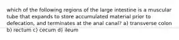 which of the following regions of the large intestine is a muscular tube that expands to store accumulated material prior to defecation, and terminates at the anal canal? a) transverse colon b) rectum c) cecum d) ileum