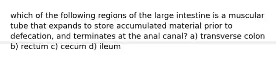 which of the following regions of the large intestine is a muscular tube that expands to store accumulated material prior to defecation, and terminates at the anal canal? a) transverse colon b) rectum c) cecum d) ileum