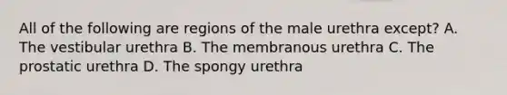 All of the following are regions of the male urethra except? A. The vestibular urethra B. The membranous urethra C. The prostatic urethra D. The spongy urethra