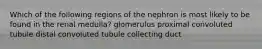 Which of the following regions of the nephron is most likely to be found in the renal medulla? glomerulus proximal convoluted tubule distal convoluted tubule collecting duct