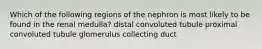 Which of the following regions of the nephron is most likely to be found in the renal medulla? distal convoluted tubule proximal convoluted tubule glomerulus collecting duct