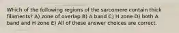 Which of the following regions of the sarcomere contain thick filaments? A) zone of overlap B) A band C) H zone D) both A band and H zone E) All of these answer choices are correct.