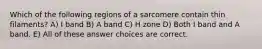 Which of the following regions of a sarcomere contain thin filaments? A) I band B) A band C) H zone D) Both I band and A band. E) All of these answer choices are correct.