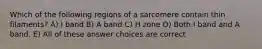 Which of the following regions of a sarcomere contain thin filaments? A) I band B) A band C) H zone D) Both I band and A band. E) All of these answer choices are correct