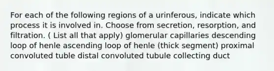 For each of the following regions of a urinferous, indicate which process it is involved in. Choose from secretion, resorption, and filtration. ( List all that apply) glomerular capillaries descending loop of henle ascending loop of henle (thick segment) proximal convoluted tuble distal convoluted tubule collecting duct