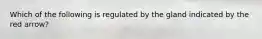 Which of the following is regulated by the gland indicated by the red arrow?
