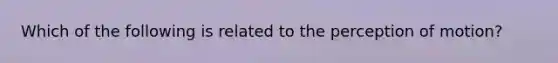 Which of the following is related to the perception of motion?