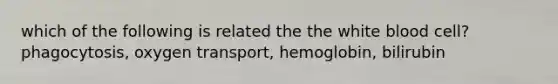 which of the following is related the the white blood cell? phagocytosis, oxygen transport, hemoglobin, bilirubin