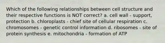 Which of the following relationships between cell structure and their respective functions is NOT correct? a. cell wall - support, protection b. chloroplasts - chief site of cellular respiration c. chromosomes - genetic control information d. ribosomes - site of protein synthesis e. mitochondria - formation of ATP