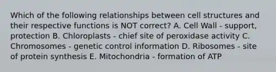 Which of the following relationships between cell structures and their respective functions is NOT correct? A. Cell Wall - support, protection B. Chloroplasts - chief site of peroxidase activity C. Chromosomes - genetic control information D. Ribosomes - site of protein synthesis E. Mitochondria - formation of ATP