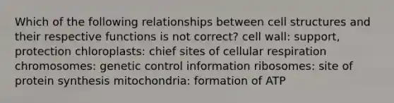 Which of the following relationships between cell structures and their respective functions is not correct? cell wall: support, protection chloroplasts: chief sites of cellular respiration chromosomes: genetic control information ribosomes: site of protein synthesis mitochondria: formation of ATP