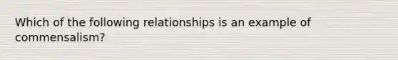 Which of the following relationships is an example of commensalism?