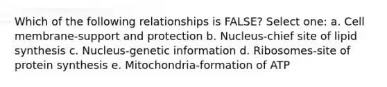 Which of the following relationships is FALSE? Select one: a. Cell membrane-support and protection b. Nucleus-chief site of lipid synthesis c. Nucleus-genetic information d. Ribosomes-site of protein synthesis e. Mitochondria-formation of ATP