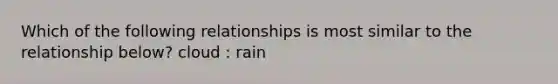 Which of the following relationships is most similar to the relationship below? cloud : rain