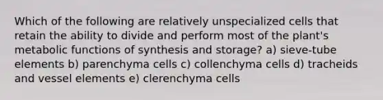 Which of the following are relatively unspecialized cells that retain the ability to divide and perform most of the plant's metabolic functions of synthesis and storage? a) sieve-tube elements b) parenchyma cells c) collenchyma cells d) tracheids and vessel elements e) clerenchyma cells