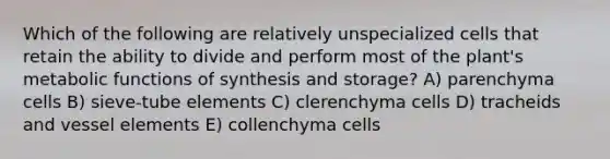 Which of the following are relatively unspecialized cells that retain the ability to divide and perform most of the plant's metabolic functions of synthesis and storage? A) parenchyma cells B) sieve-tube elements C) clerenchyma cells D) tracheids and vessel elements E) collenchyma cells