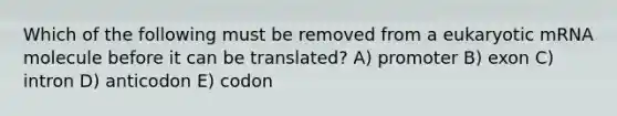 Which of the following must be removed from a eukaryotic mRNA molecule before it can be translated? A) promoter B) exon C) intron D) anticodon E) codon