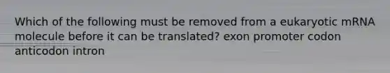 Which of the following must be removed from a eukaryotic mRNA molecule before it can be translated? exon promoter codon anticodon intron