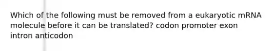 Which of the following must be removed from a eukaryotic mRNA molecule before it can be translated? codon promoter exon intron anticodon