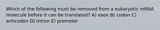 Which of the following must be removed from a eukaryotic mRNA molecule before it can be translated? A) exon B) codon C) anticodon D) intron E) promoter