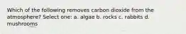 Which of the following removes carbon dioxide from the atmosphere? Select one: a. algae b. rocks c. rabbits d. mushrooms