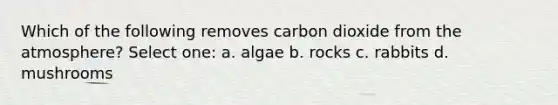 Which of the following removes carbon dioxide from the atmosphere? Select one: a. algae b. rocks c. rabbits d. mushrooms