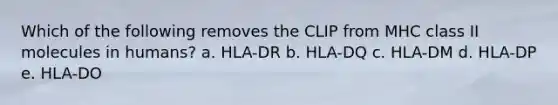 Which of the following removes the CLIP from MHC class II molecules in humans? a. HLA-DR b. HLA-DQ c. HLA-DM d. HLA-DP e. HLA-DO