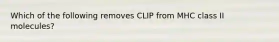 Which of the following removes CLIP from MHC class II molecules?