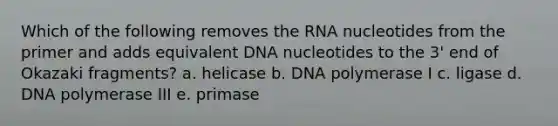 Which of the following removes the RNA nucleotides from the primer and adds equivalent DNA nucleotides to the 3' end of Okazaki fragments? a. helicase b. DNA polymerase I c. ligase d. DNA polymerase III e. primase