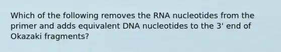 Which of the following removes the RNA nucleotides from the primer and adds equivalent DNA nucleotides to the 3' end of Okazaki fragments?