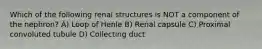 Which of the following renal structures is NOT a component of the nephron? A) Loop of Henle B) Renal capsule C) Proximal convoluted tubule D) Collecting duct