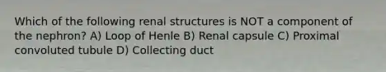 Which of the following renal structures is NOT a component of the nephron? A) Loop of Henle B) Renal capsule C) Proximal convoluted tubule D) Collecting duct